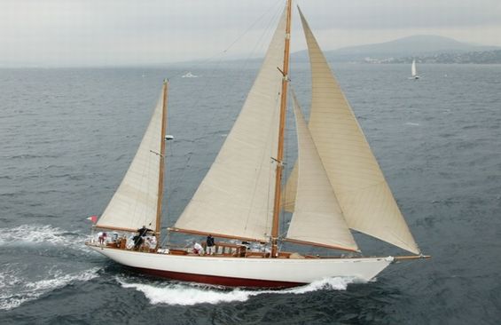 hyg1