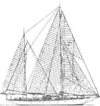 side_view1