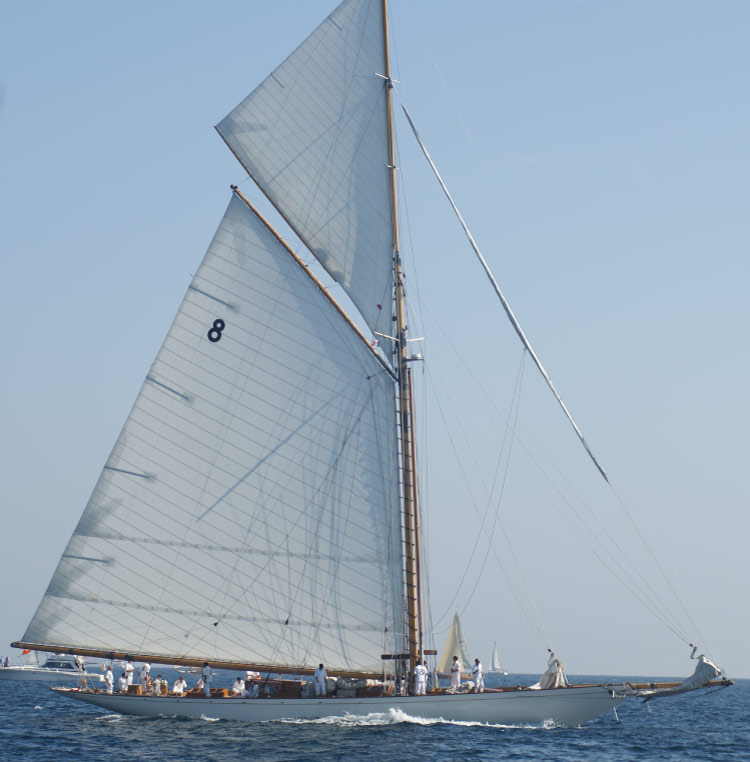 moonbeam-iv-chartern