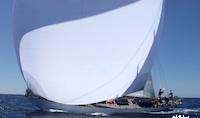 oiseau-de-feu-charter